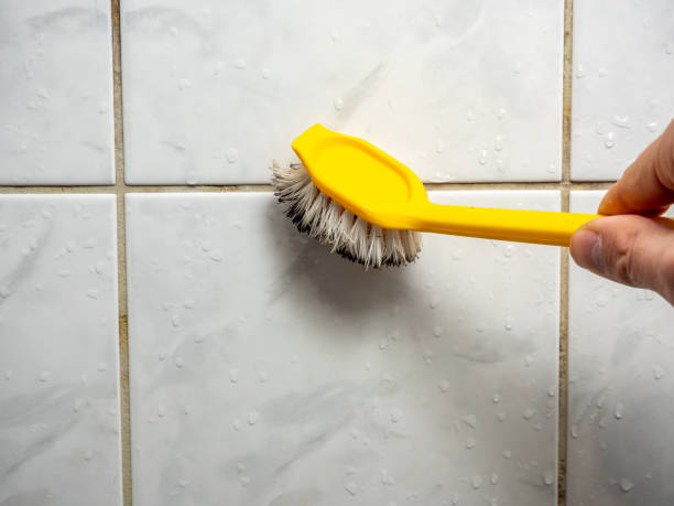 Professional Mold Removal in Hart, TX