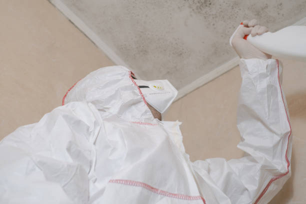 Best Mold Remediation Services  in Hart, TX