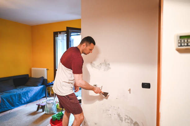 Best Affordable Mold Removal  in Hart, TX