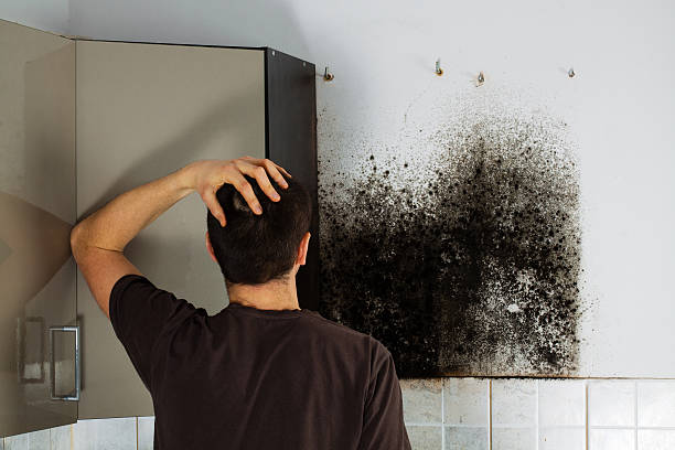Best Office Mold Removal Services  in Hart, TX